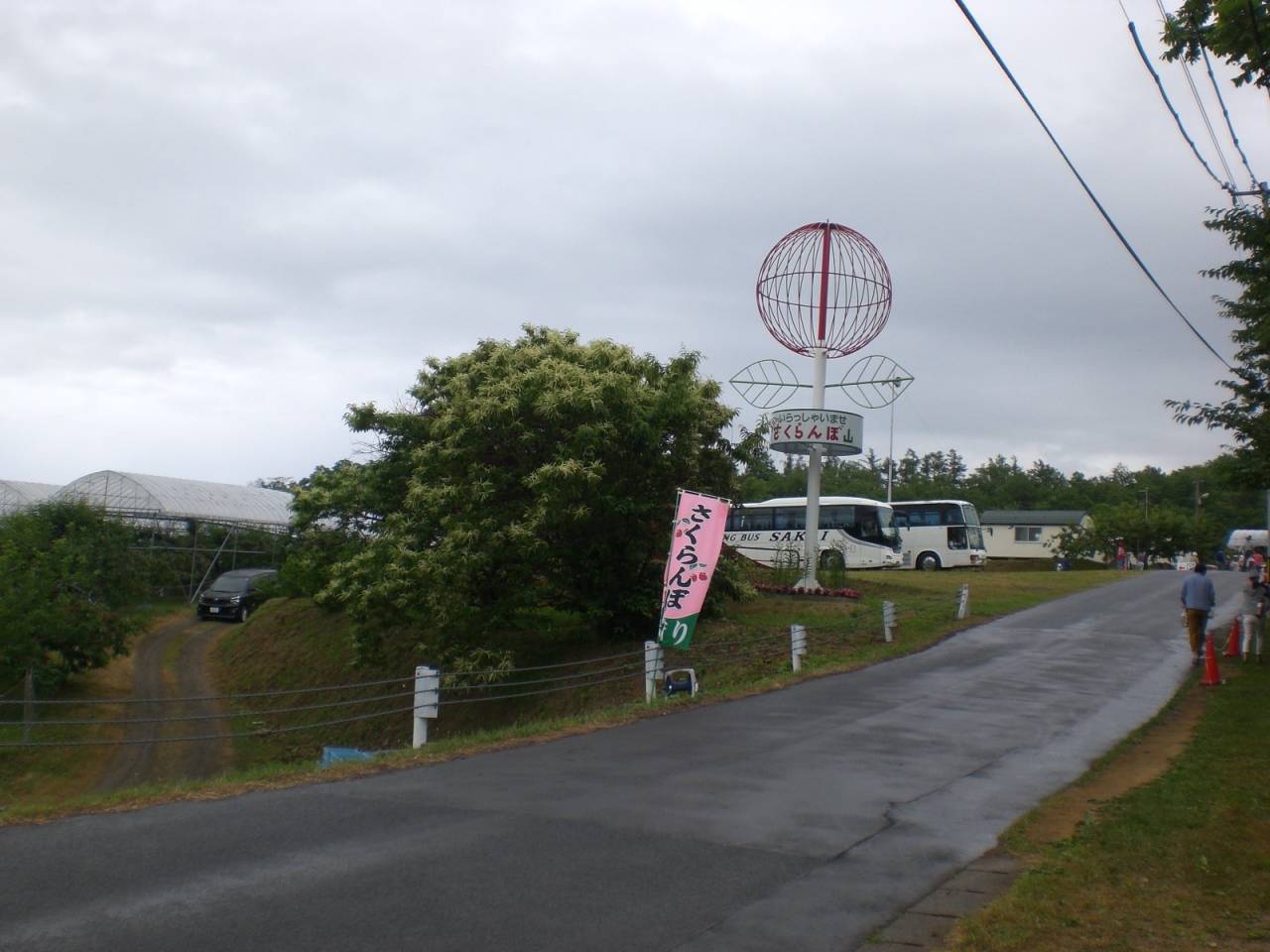 サクランボ狩り 赤井川 仁木 北海道 の旅行記 ブログ By 佐渡金山さん フォートラベル サクランボ狩り 赤井川 仁木 北海道 の旅行記 ブログ By 佐渡金山さん フォートラベル