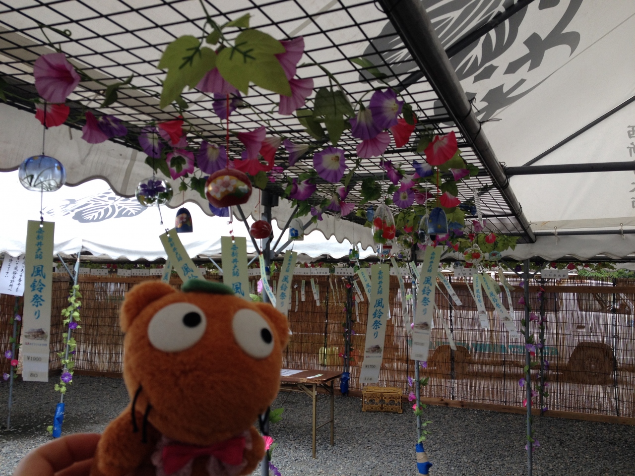 風鈴祭り 西新井 舎人 綾瀬 東京 の旅行記 ブログ By アヤさん フォートラベル 風鈴祭り 西新井 舎人 綾瀬 東京 の旅行記 ブログ By アヤさん フォートラベル