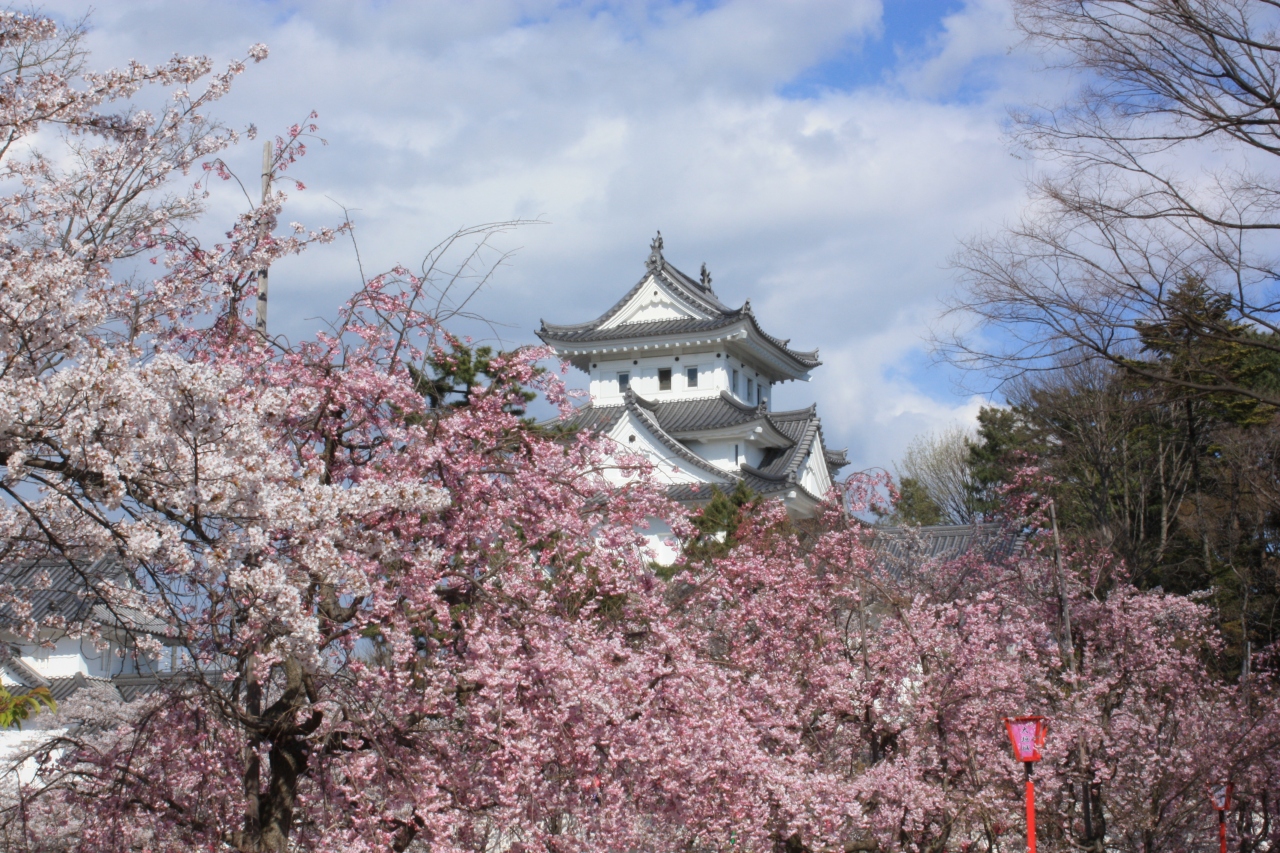 14 4 桜満開の大垣と池田山の夜景 大垣 岐阜県 の旅行記 ブログ By gonさん フォートラベル 14 4 桜満開の大垣と池田山の夜景 大垣 岐阜県 の旅行記 ブログ By gonさん フォートラベル
