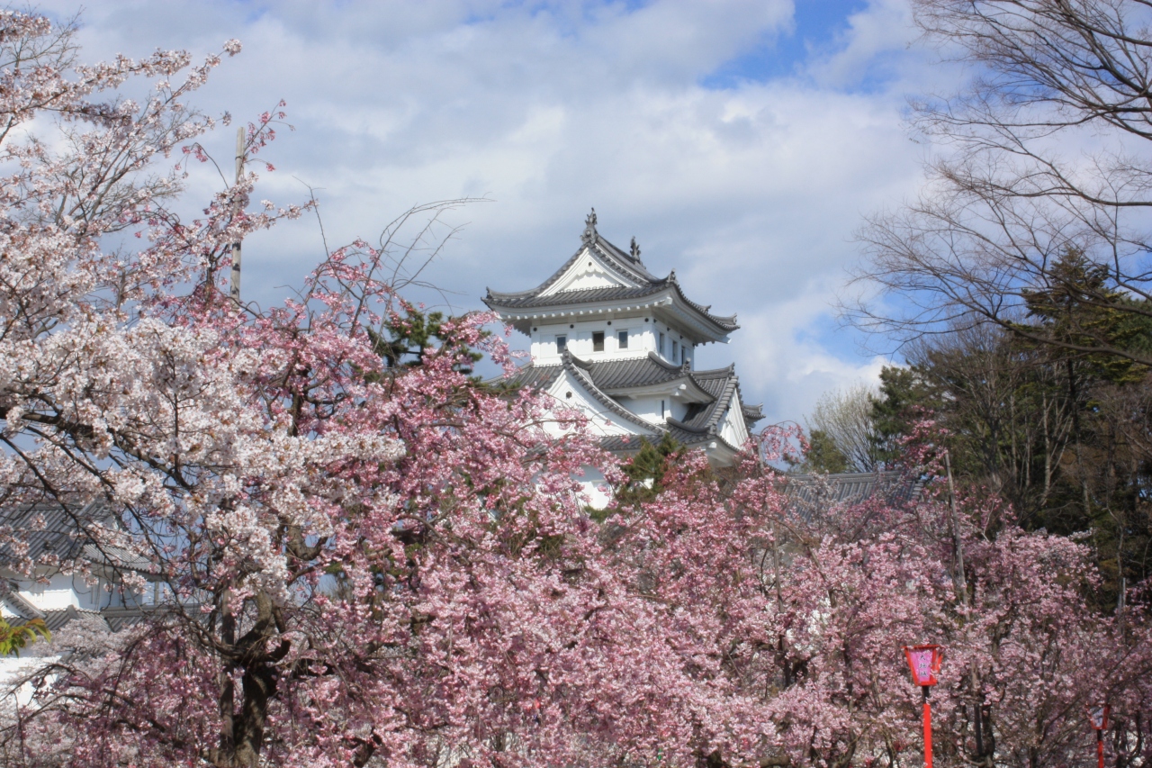 14 4 桜満開の大垣と池田山の夜景 大垣 岐阜県 の旅行記 ブログ By ｇｏｎさん フォートラベル