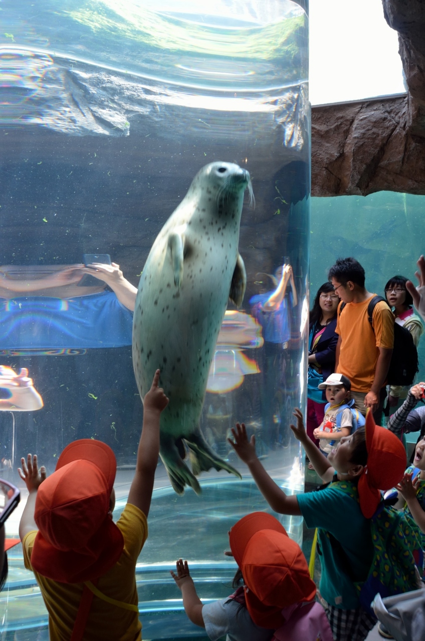 自然を満喫する夏の北海道16日間の旅 ２ 旭山動物園で童心に帰る 旭川 北海道 の旅行記 ブログ By 玄白さん フォートラベル