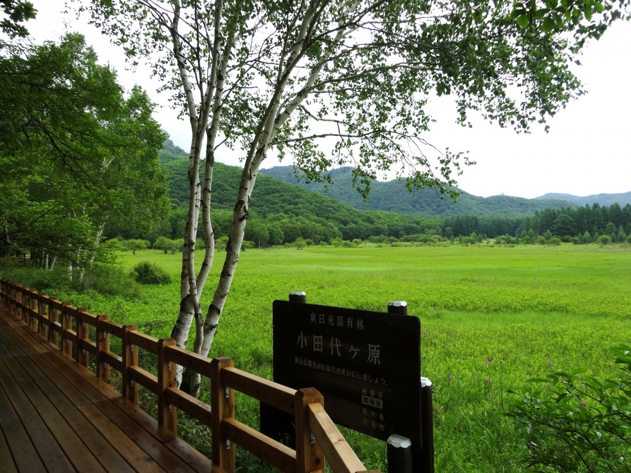雨ニモ負ケズ 奥日光ハイキング 2 日光 栃木県 の旅行記 ブログ By Wataさん フォートラベル 雨ニモ負ケズ 奥日光ハイキング 2 日光 栃木県 の旅行記 ブログ By Wataさん フォートラベル