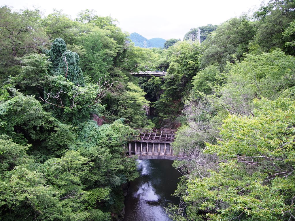 <五街道ウォーク・甲州街道編.8-2>ボロボロ足で日本三大奇橋「猿橋」へ 「下鳥沢」~「猿橋宿」