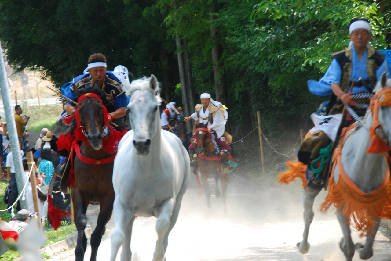 14 相馬野馬追祭り最終日 小高神社の 野馬懸 南相馬 飯館村 福島県 の旅行記 ブログ By カンゲンさん フォートラベル