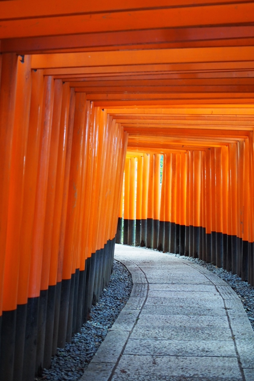 2泊3日で行く弾丸京都 大阪ついでに神戸ひとり旅1 京都の旅行記 ブログ By こばじょうさん フォートラベル