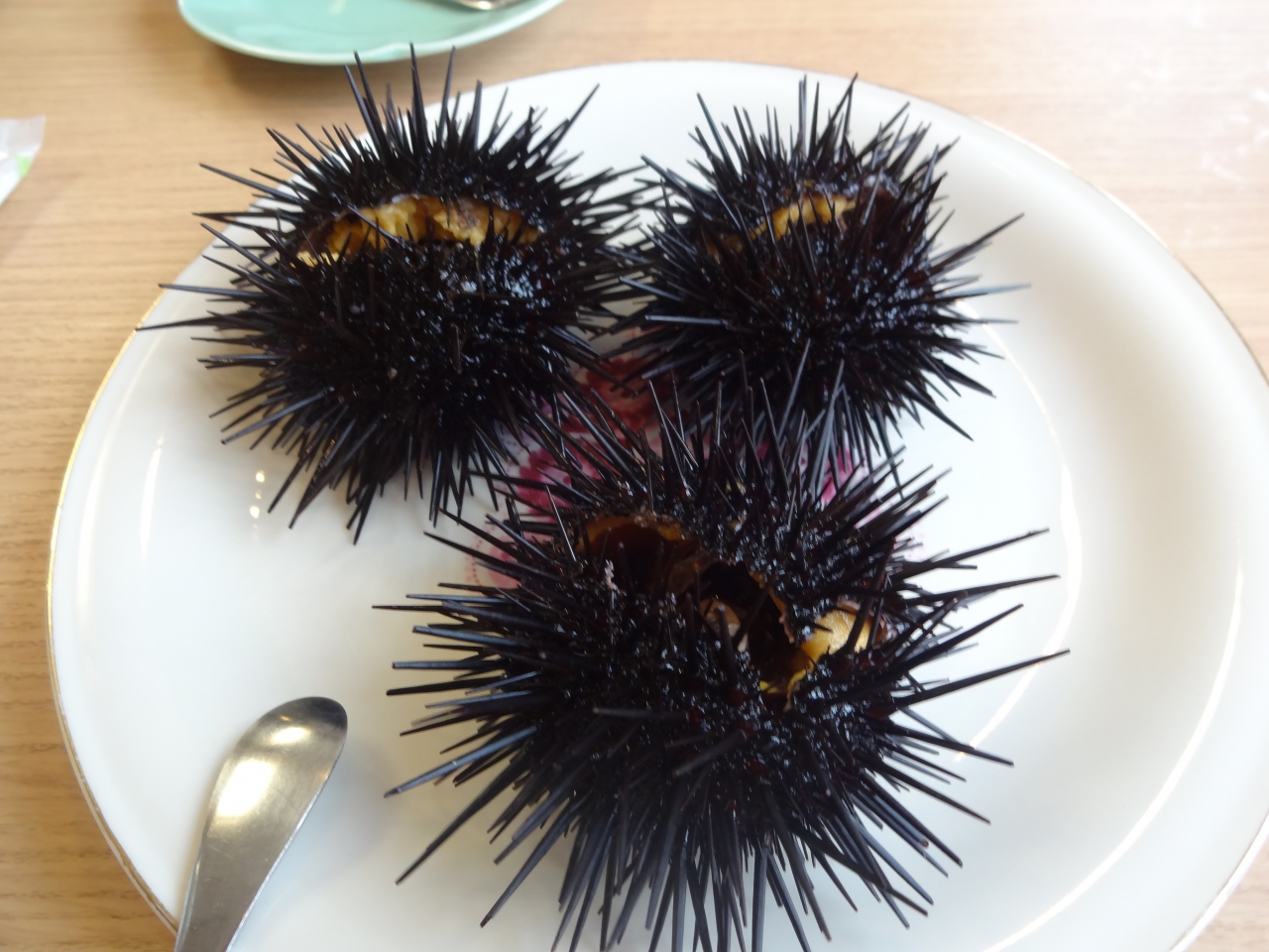 積丹のウニが食べたい ウニと積丹ブルーリベンジの旅 積丹半島 北海道 の旅行記 ブログ By Funbeiさん フォートラベル