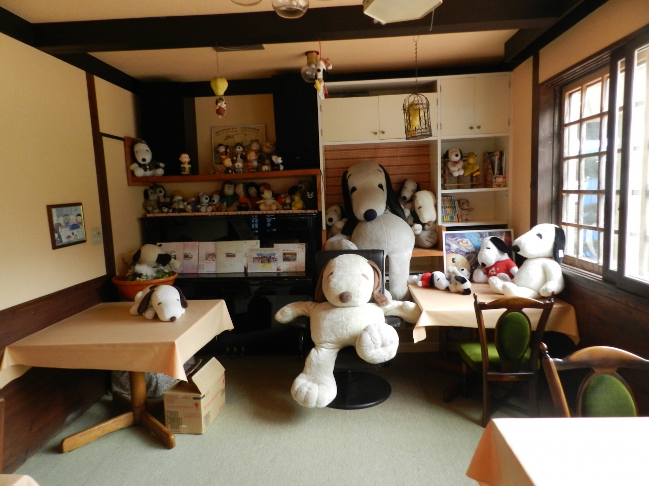 再訪 ペンション スヌーピー 宿泊記 14年7月 スヌコミュ仲間との湯布院 阿蘇の旅 その4 阿蘇 熊本県 の旅行記 ブログ By Joecoolさん フォートラベル 再訪 ペンション スヌーピー 宿泊記 14年7月 スヌコミュ仲間との湯布院 阿蘇の旅 その4 阿蘇 熊本県 の旅行記 ブログ By Joecoolさん フォートラベル