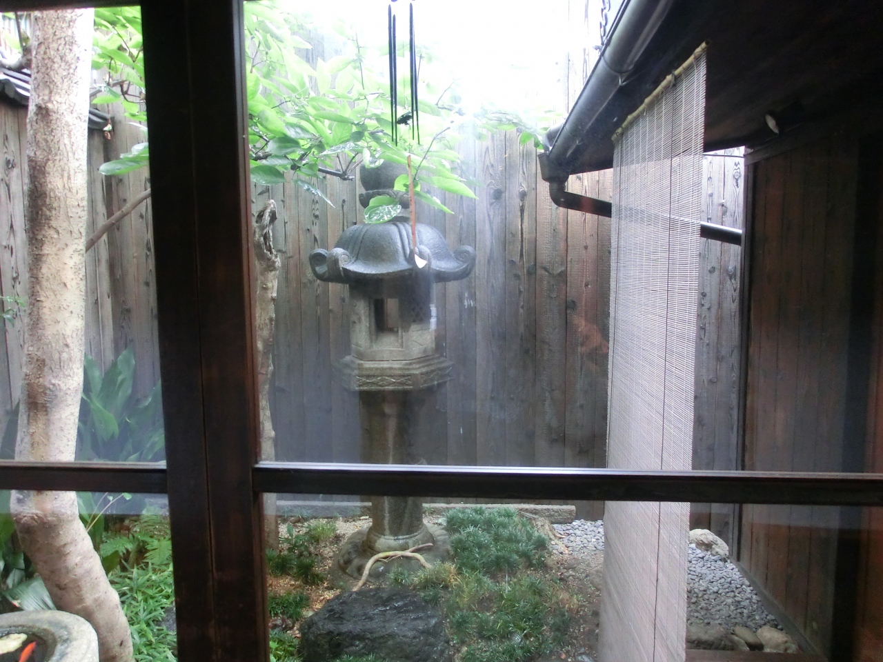 美味しいもの食べよ 夏の楽膳 柿沼 下鴨 宝ヶ池 平安神宮 京都 の旅行記 ブログ By ハートネッツさん フォートラベル