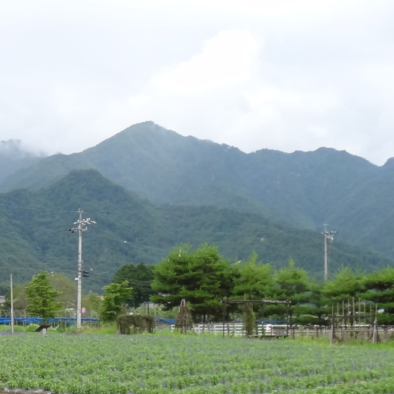 甲府 八ヶ岳 安曇野へ 山梨県の旅行記 ブログ By ぽちさん フォートラベル 甲府 八ヶ岳 安曇野へ 山梨県の旅行記 ブログ By ぽちさん フォートラベル