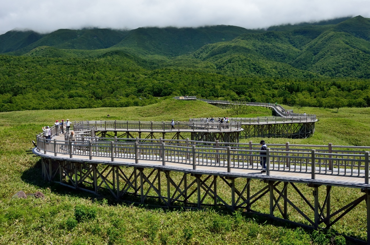 自然を満喫する夏の北海道16日間の旅 １４ 知床編 知床五湖散策 ウトロ 北海道 の旅行記 ブログ By 玄白さん フォートラベル