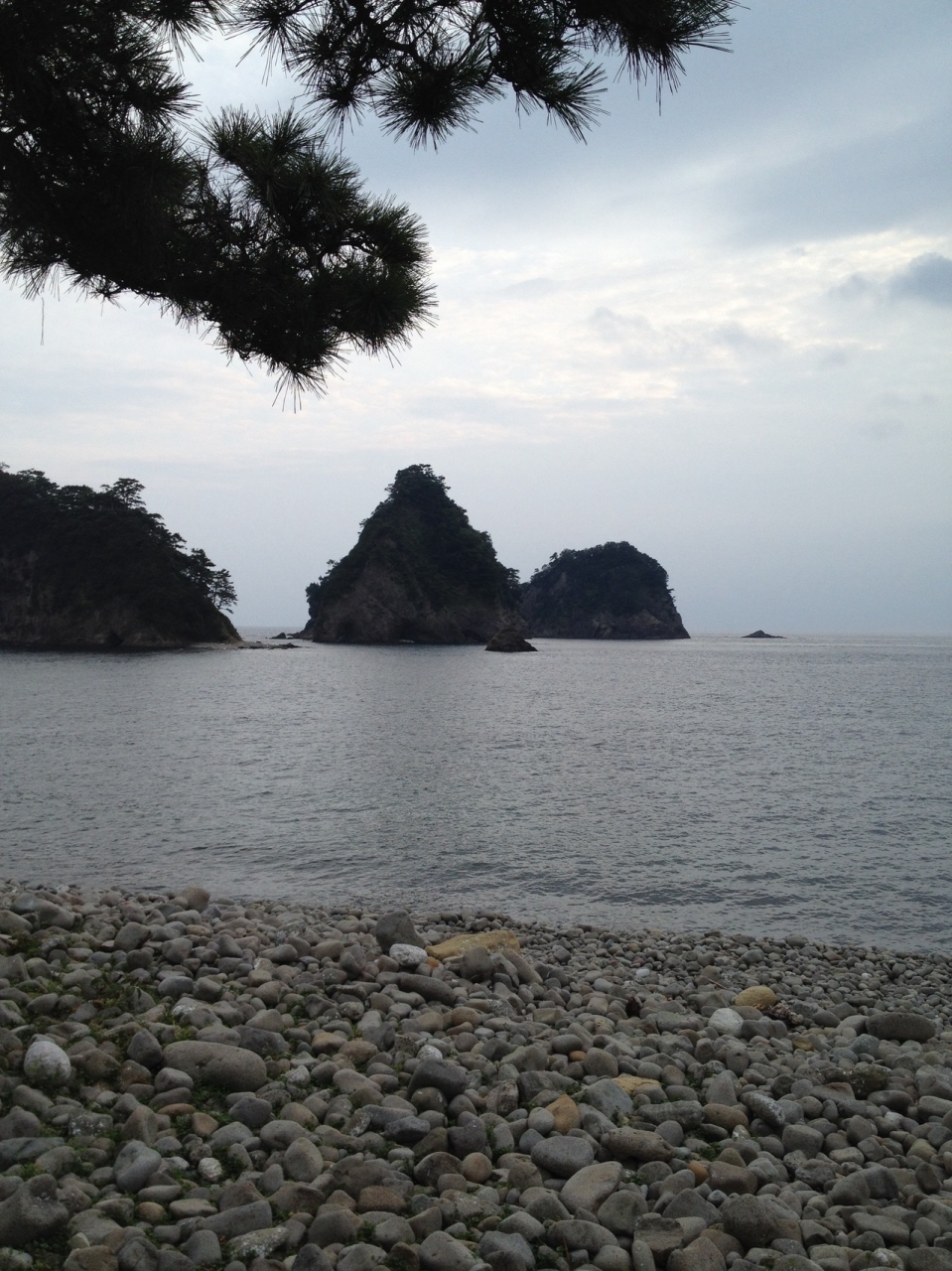 妻良海上アスレチック 堂ヶ島2泊 沼津漁港 堂ヶ島温泉 静岡県 の旅行記 ブログ By Hikkohikkoさん フォートラベル 妻良海上アスレチック 堂ヶ島2泊 沼津漁港 堂ヶ島温泉 静岡県 の旅行記 ブログ By Hikkohikkoさん フォートラベル