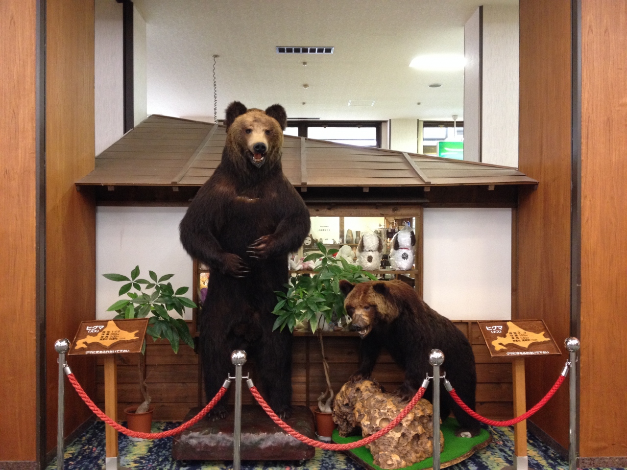 十勝川温泉1泊旅行 十勝川温泉 北海道 の旅行記 ブログ By Takakiさん フォートラベル