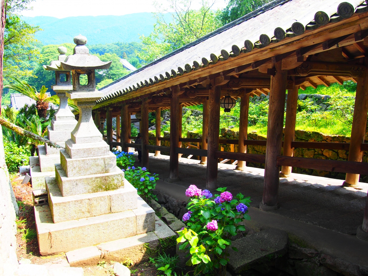 あじさい咲く長谷寺へ 室生 宇陀 奈良県 の旅行記 ブログ By ﾋﾛﾎﾟﾝさん フォートラベル