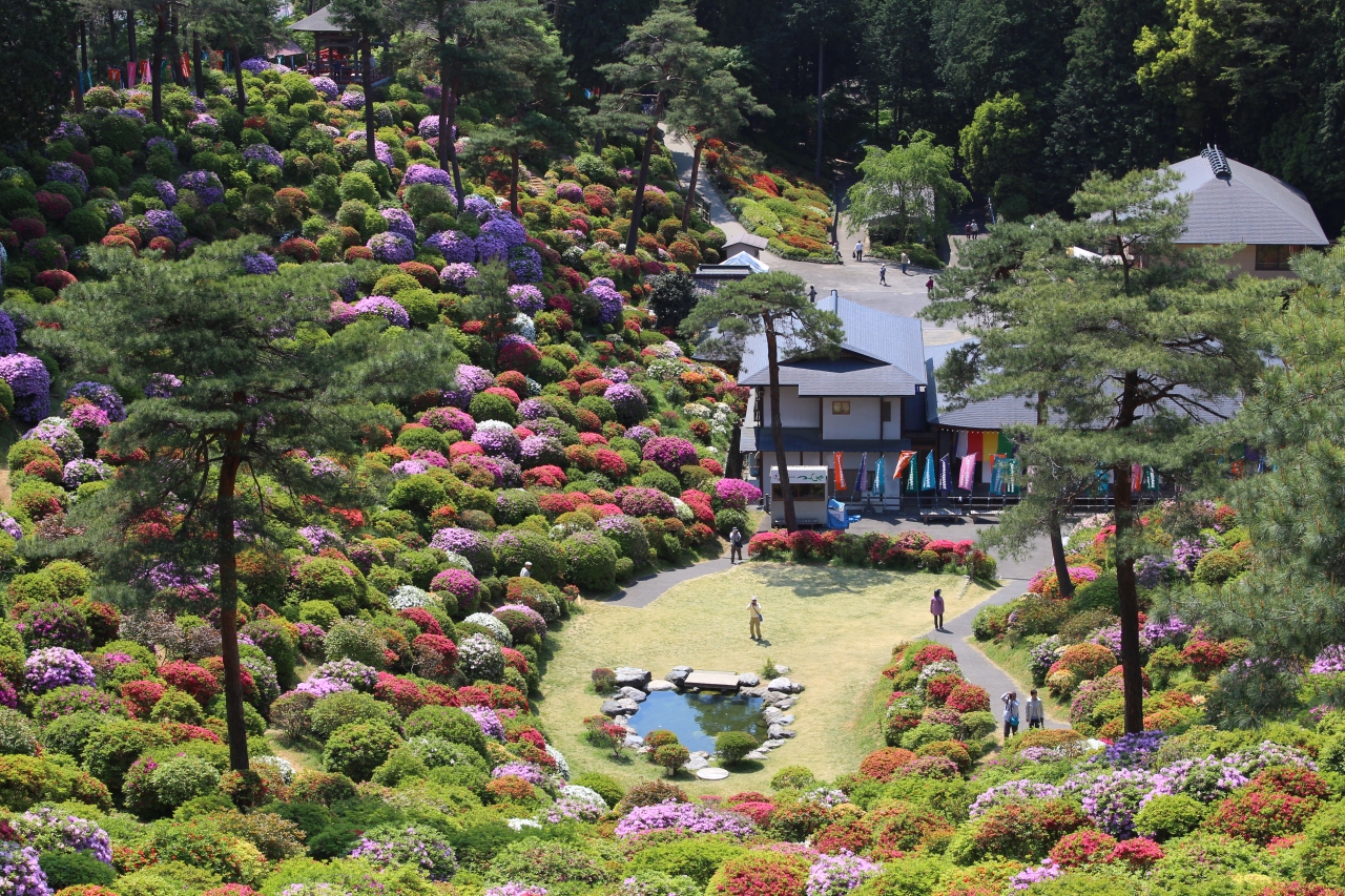 塩船観音つつじ祭りと奥多摩ハイキング13年5月 奥多摩 東京 の旅行記 ブログ By 温泉大好きさん フォートラベル
