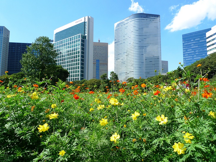 のんびり散策 浜離宮恩賜庭園へコスモスを見に 汐留 東京 の旅行記 ブログ By かおるるるさん フォートラベル