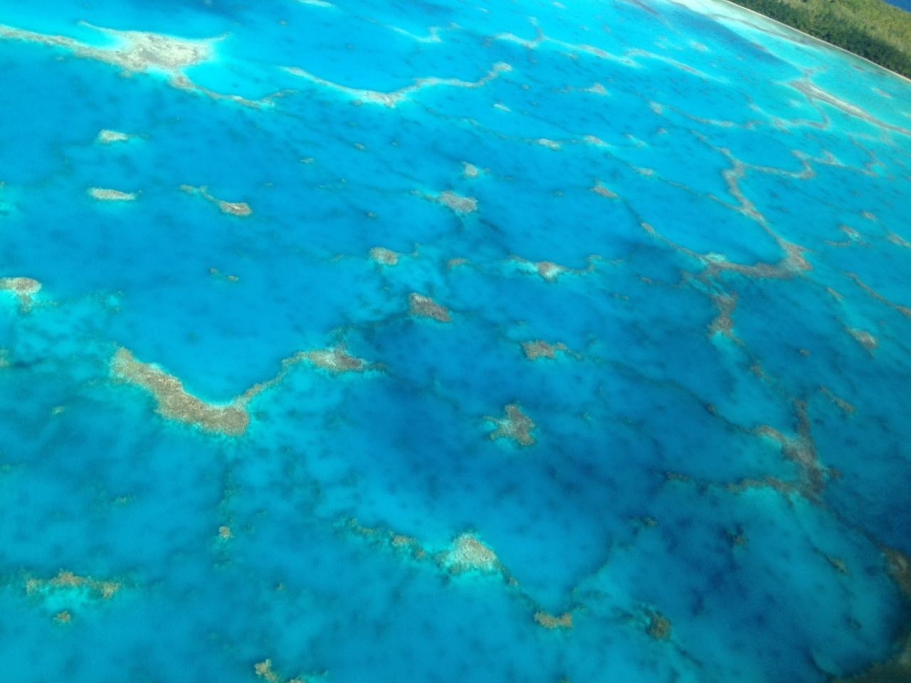 海鳥の天国 テティアロア島 ザ ブランド マーロン ブランドの想いのつまった島への旅 その他の観光地 タヒチ の旅行記 ブログ By Kieranさん フォートラベル 海鳥の天国 テティアロア島 ザ ブランド マーロン ブランドの想いのつまった島への旅 その他の観光地 タヒチ の旅行記 ブログ By Kieranさん フォートラベル