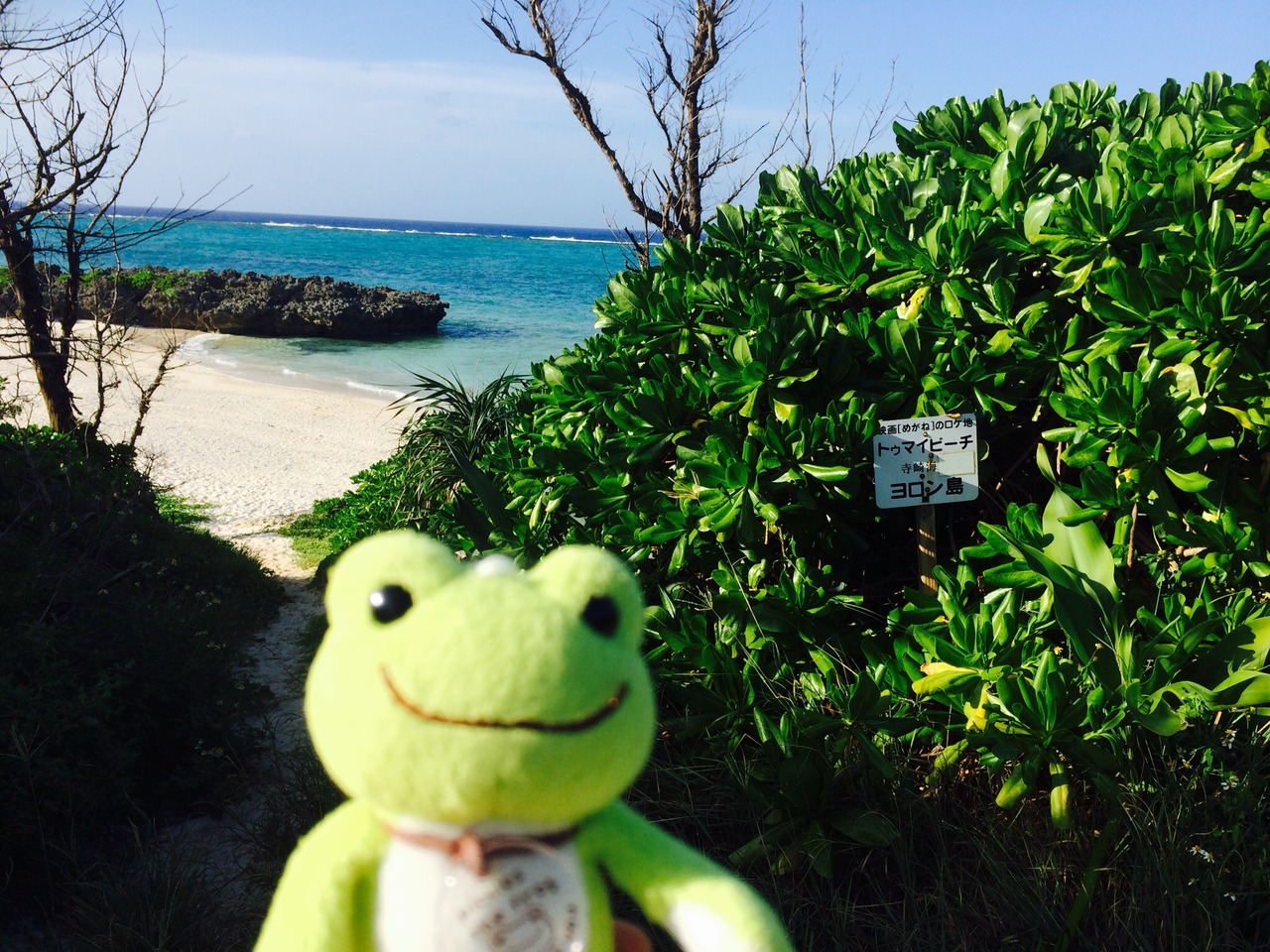 台風との対決 In与論島14 与論島 鹿児島県 の旅行記 ブログ By ケロヲルさん フォートラベル