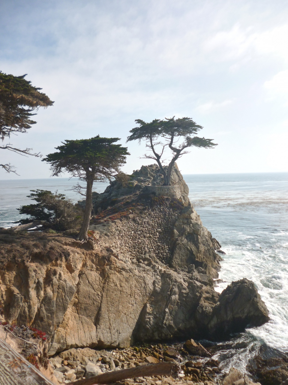 カリフォルニア 桑港 サンフランシスコ 郊外編 サンフランシスコ アメリカ の旅行記 ブログ By Hsugaiさん フォートラベル カリフォルニア 桑港 サンフランシスコ 郊外編 サンフランシスコ アメリカ の旅行記 ブログ By Hsugaiさん フォートラベル