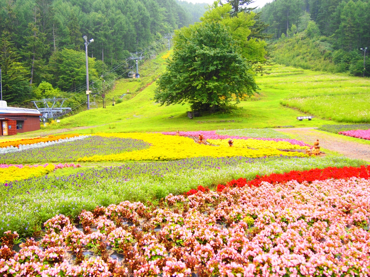 夏の思い出8月 避暑地 ラフティング 長野県の旅行記 ブログ By Kimama さん フォートラベル 夏の思い出8月 避暑地 ラフティング 長野県の旅行記 ブログ By Kimama さん フォートラベル