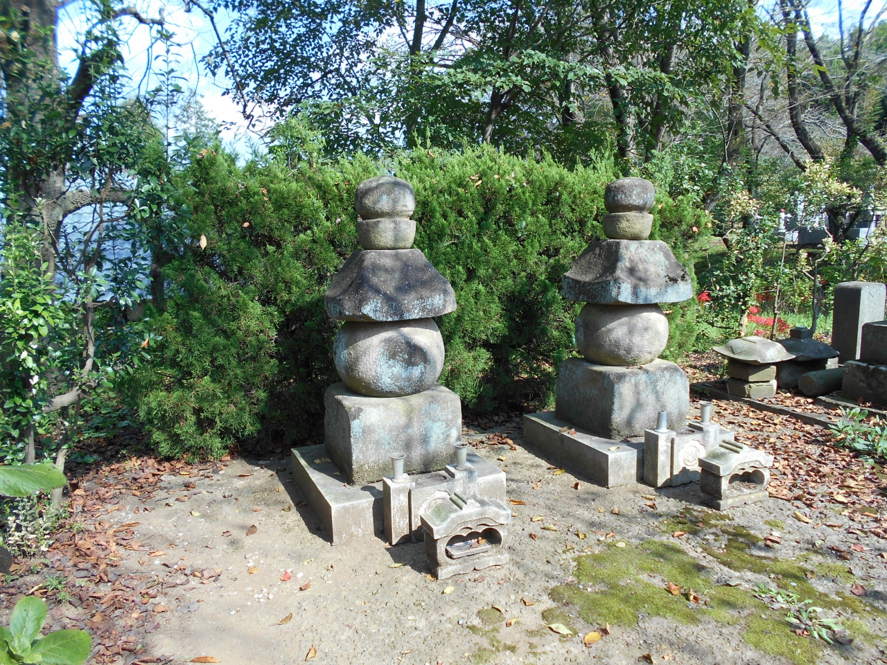 常陸牛久 小田原北条氏に属した岡見氏支城 東林寺城跡訪問 牛久 龍ヶ崎 茨城県 の旅行記 ブログ By 滝山氏照さん フォートラベル