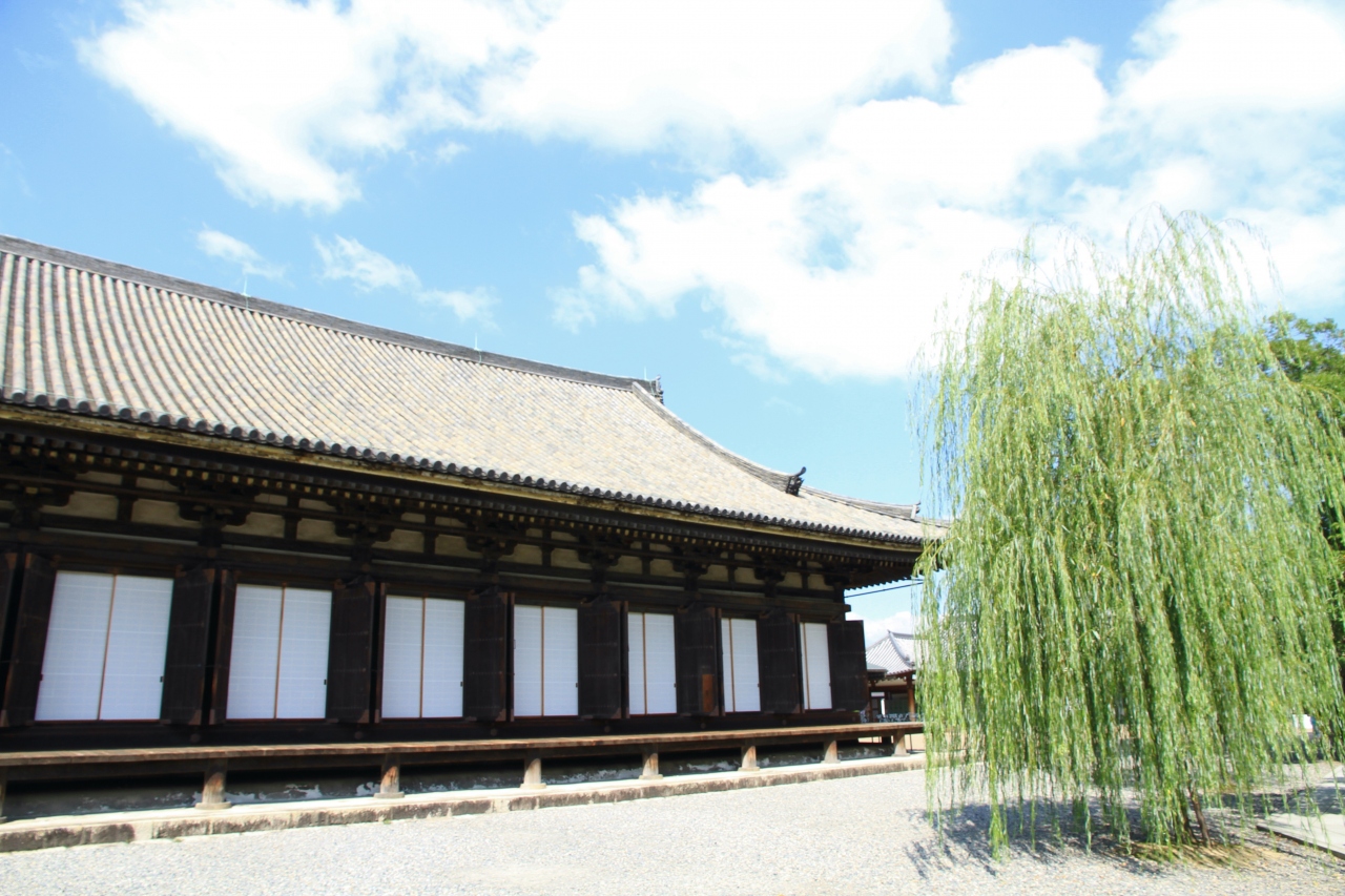 三十三間堂 豊国神社 方広寺 智積院 大徳寺 京都市内のお寺を巡ってきました 京都駅周辺 京都 の旅行記 ブログ By きよさん フォートラベル