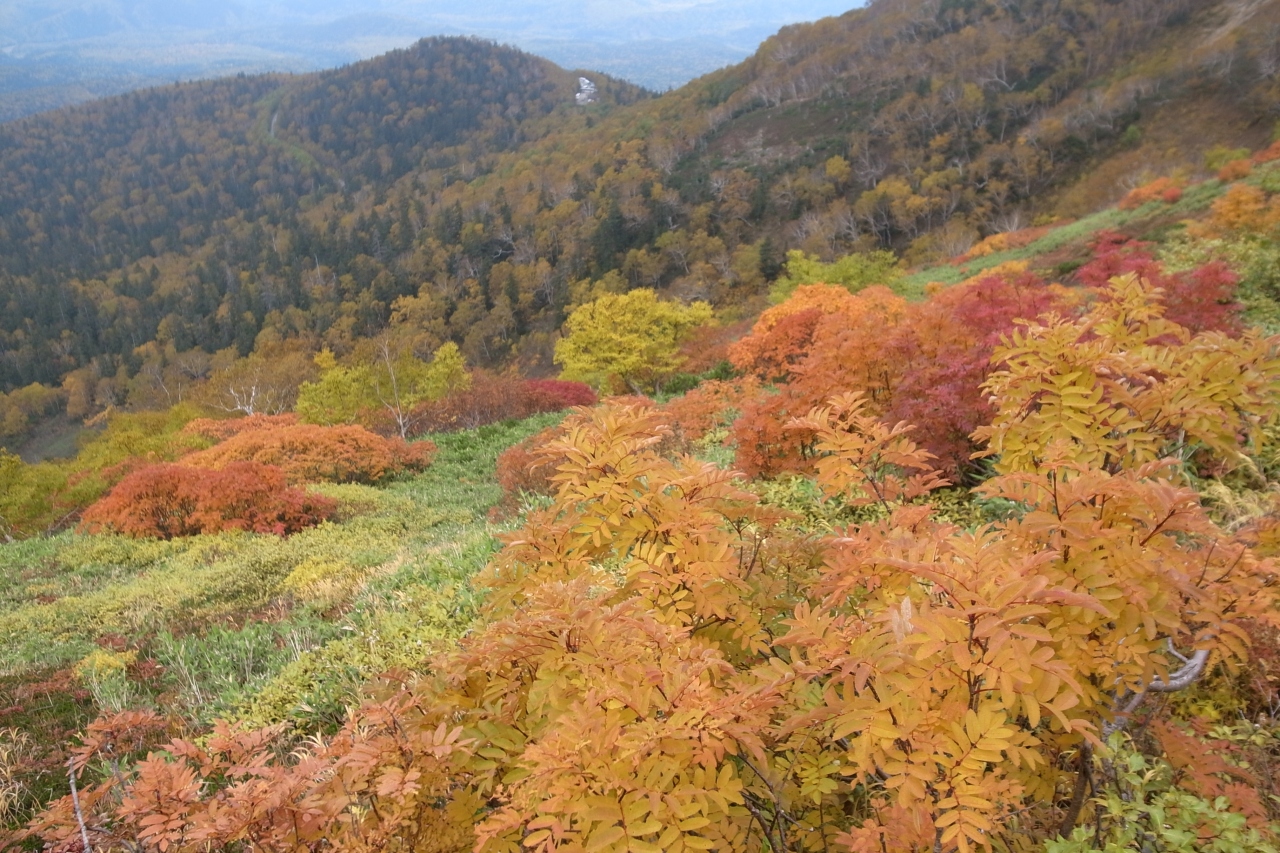 14年9月紅葉の山と温泉旅 １ 銀泉台 層雲峡 北海道 の旅行記 ブログ By Ottyannさん フォートラベル