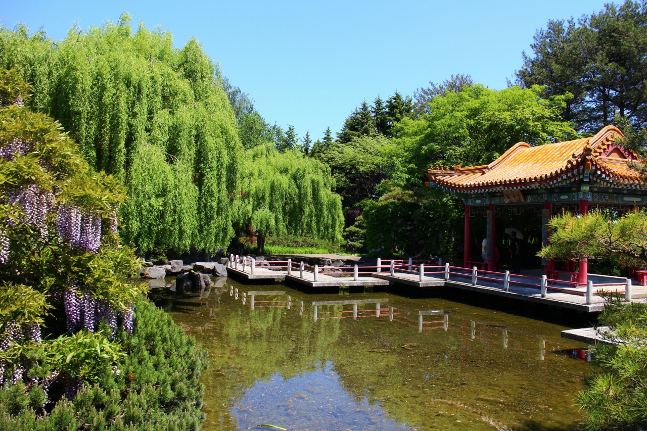 14年6月の札幌 百合が原お散歩 札幌 北海道 の旅行記 ブログ By Tomoさん フォートラベル 14年6月の札幌 百合が原お散歩 札幌 北海道 の旅行記 ブログ By Tomoさん フォートラベル