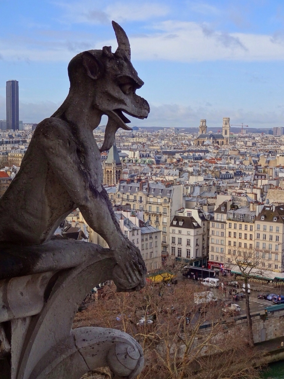 シメールとガーゴイルに熱くなりすぎて大チョンボする お天気良くなくって 寒かったよ パリ パリ フランス の旅行記 ブログ By ケーンパさん フォートラベル