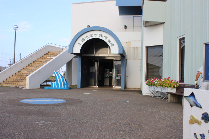 新井道の駅の鮮魚センター日本海でサンマ 鱈ゲット 妙高 池の平 新潟県 の旅行記 ブログ By Sokichi Uranoさん フォートラベル 新井道の駅の鮮魚センター日本海でサンマ 鱈ゲット 妙高 池の平 新潟県 の旅行記 ブログ By Sokichi Uranoさん フォートラベル