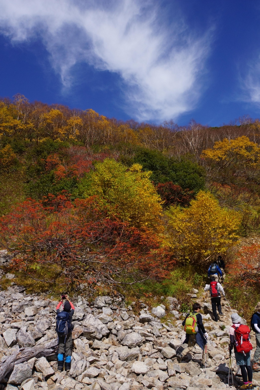 秋深し と思いきや暑かった北アルプスの紅葉狩り 唐松岳 八方尾根 岩岳 長野県 の旅行記 ブログ By ごんじさん フォートラベル 秋深し と思いきや暑かった北アルプスの紅葉狩り 唐松岳 八方尾根 岩岳 長野県 の旅行記 ブログ By ごんじさん フォートラベル