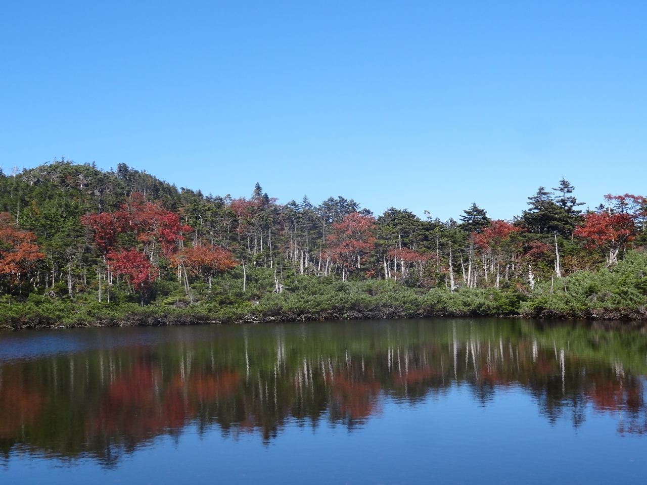 ２０１４ 初秋 子連れ八ヶ岳 蓼科 北横岳編 白樺湖 蓼科 車山 長野県 の旅行記 ブログ By さや犬さん フォートラベル