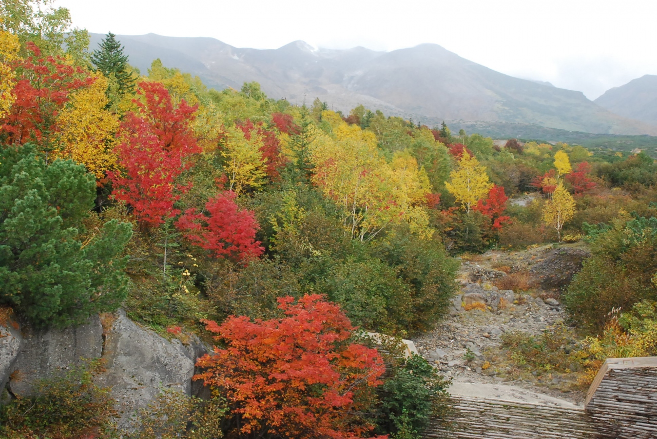 十勝岳で美しい彩りの紅葉を満喫 北海道 富良野 北海道 の旅行記 ブログ By かっちんさん フォートラベル