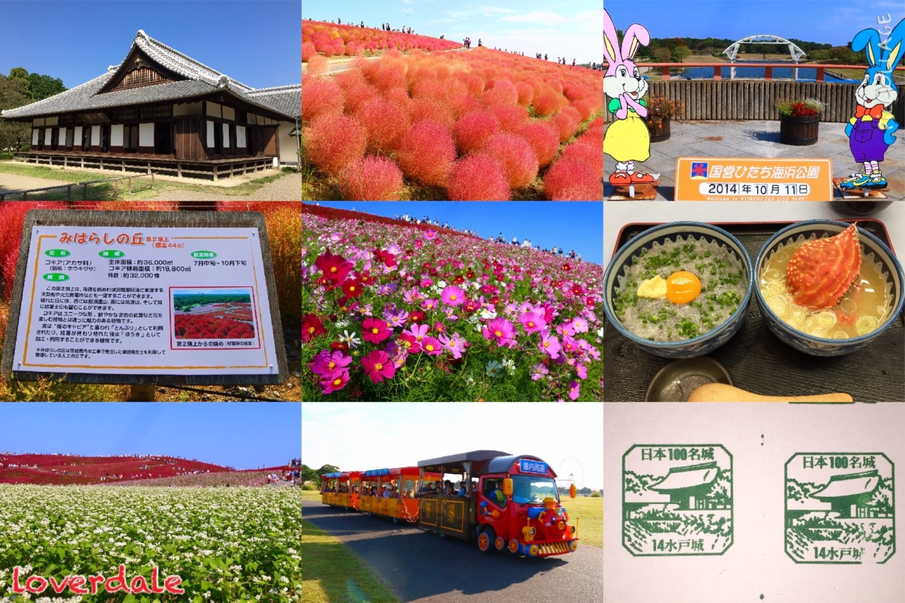 水戸城 ひたち海浜公園 コキアカーニバル ひたちなか 茨城県 の旅行記 ブログ By Lover Daleさん フォートラベル