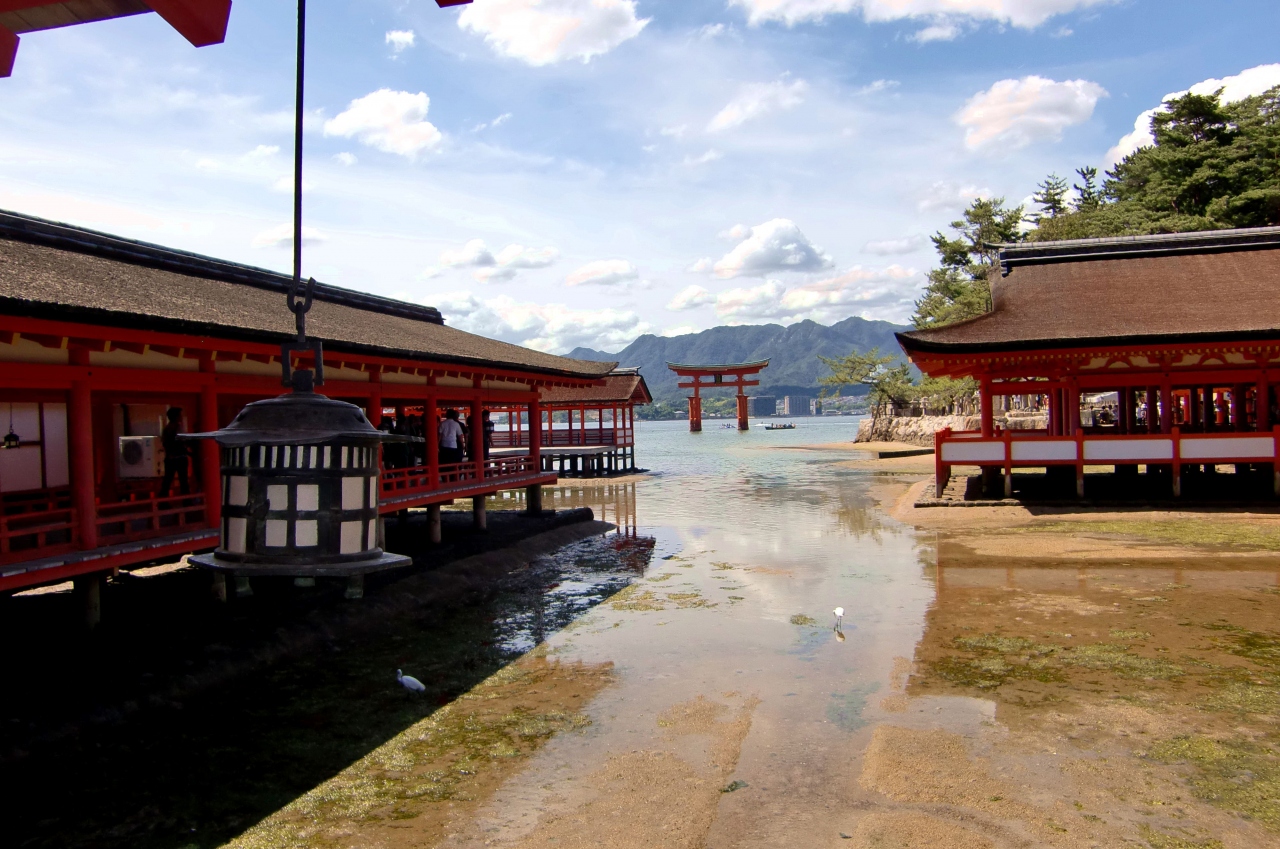 2泊3日 博多経由 宮島 厳島神社観光 博多 広島グルメ満喫 宮島 厳島神社 広島県 の旅行記 ブログ By かりんとうさん フォートラベル