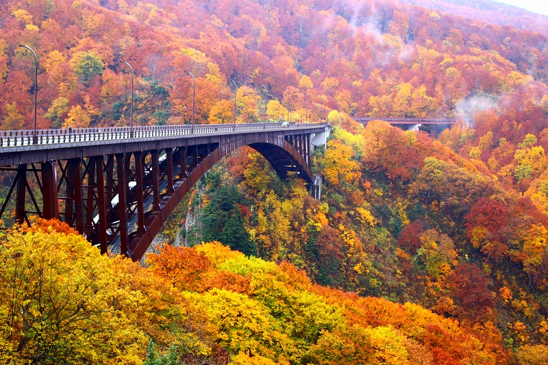 色鮮やかに染まる東北の紅葉巡り 城ヶ倉大橋 奥入瀬 松川渓谷 奥入瀬 十和田湖 青森県 の旅行記 ブログ By ミモザさん フォートラベル