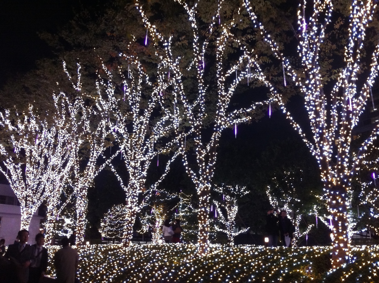 ペニンシュラ東京 ザ ロビー シャンパン付きディナー 銀座 有楽町 日比谷 東京 の旅行記 ブログ By Capriさん フォートラベル