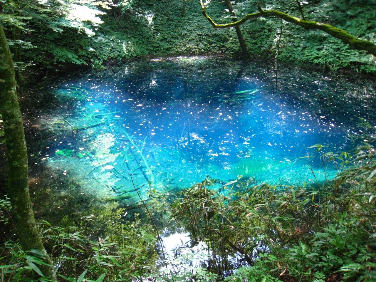 2012年夏 北海道 東北の旅 不完全燃焼だった積丹ブルー 白神山地ではブルーを堪能 北海道の旅行記 ブログ By ラムネさん フォートラベル