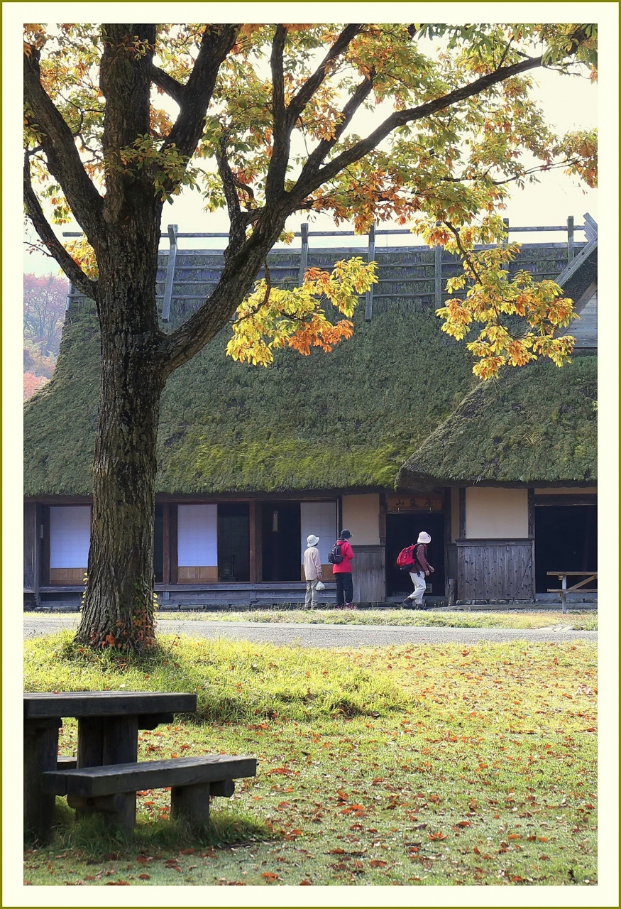 Solitary Journey 1466 高原の草木が秋色に染まっていました 茅葺古民家 山麓庵 でのんびり 八幡高原の秋 広島県北広島町 三段峡 安芸太田 北広島 広島県 の旅行記 ブログ By Mechagodzilla 703さん フォートラベル