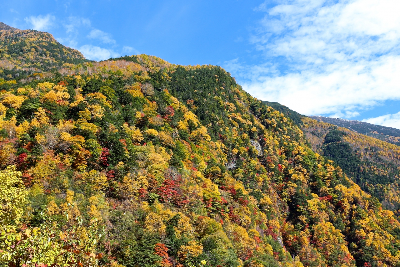14年10月富士山周遊の旅 3 白鳳渓谷 早川 山梨県 の旅行記 ブログ By Ottyannさん フォートラベル 14年10月富士山周遊の旅 3 白鳳渓谷 早川 山梨県 の旅行記 ブログ By Ottyannさん フォートラベル
