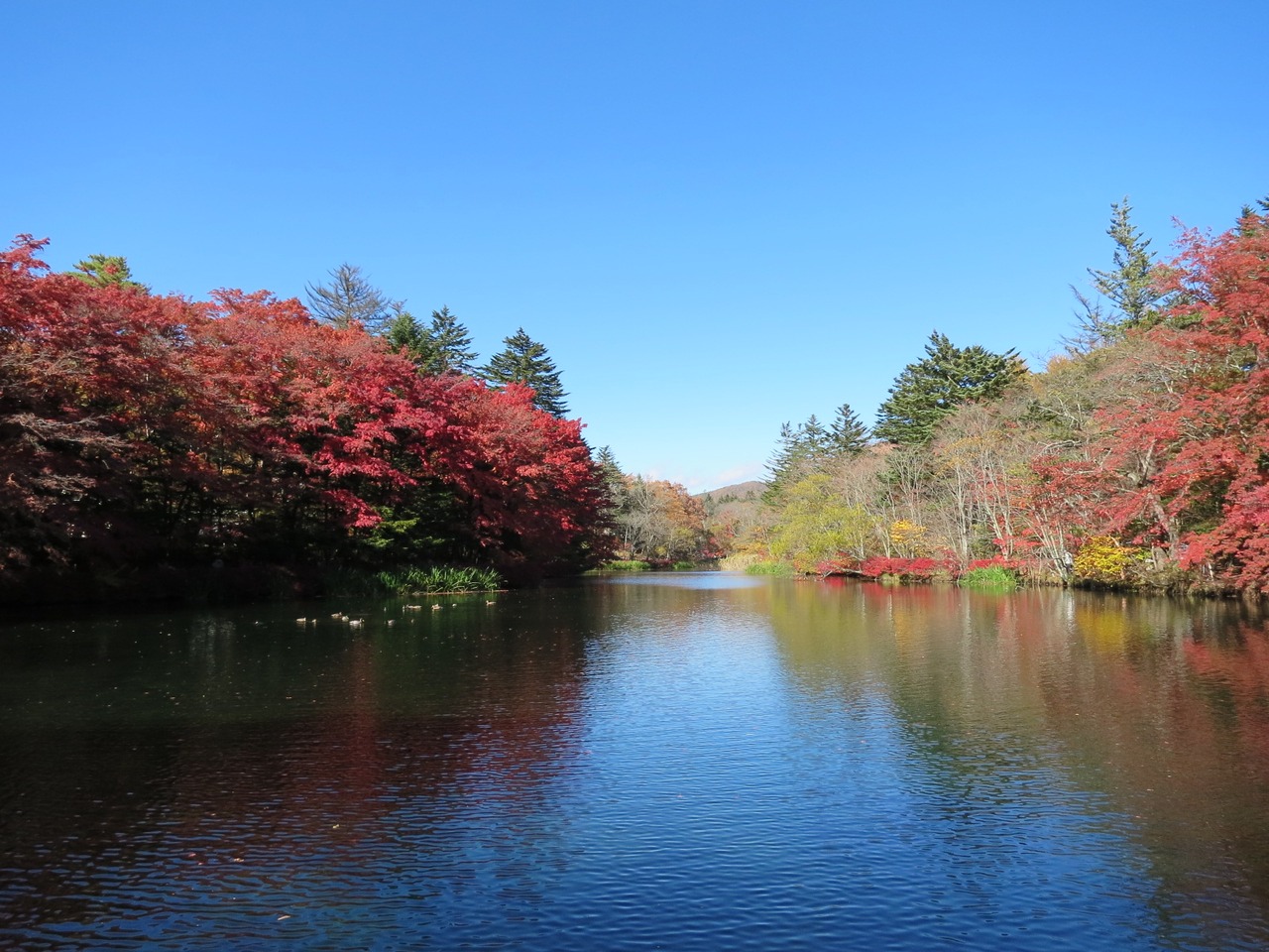 はとバス日帰りツアー♪』軽井沢(長野県)の旅行記・ブログ By Rararamさん【フォートラベル】