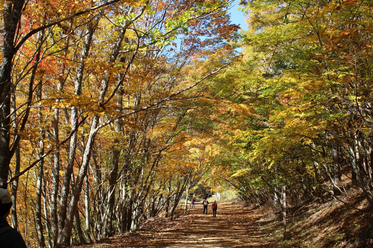 紅葉の西沢渓谷トレッキング 恋糸の滝 14年10月 山梨市 山梨県 の旅行記 ブログ By 温泉大好きさん フォートラベル