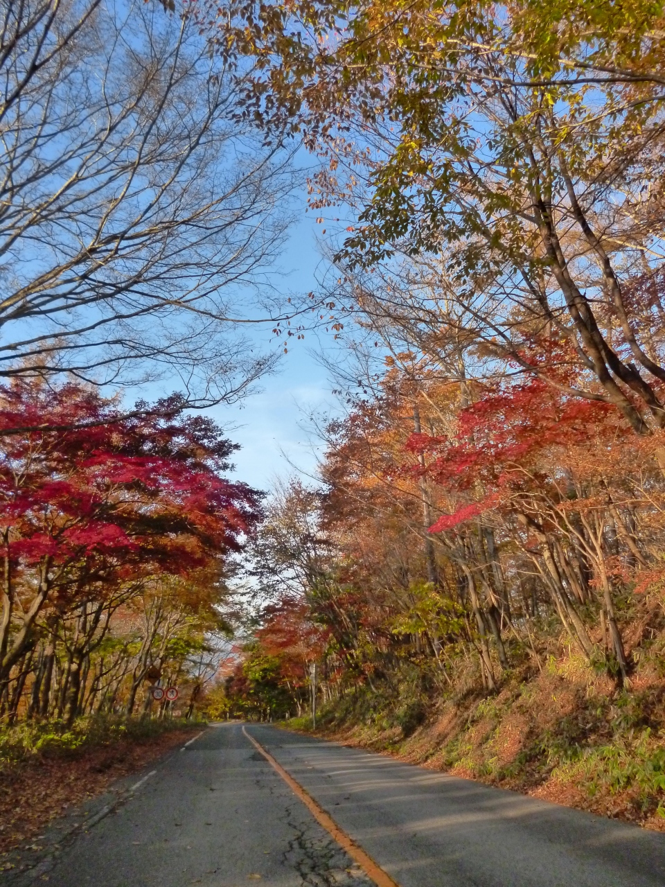 紅葉の日塩もみじライン 龍王峡を訪ねて 早朝弾丸お一人様ドライブ３５０キロ編 栃木県の旅行記 ブログ By 山mayuさん フォートラベル