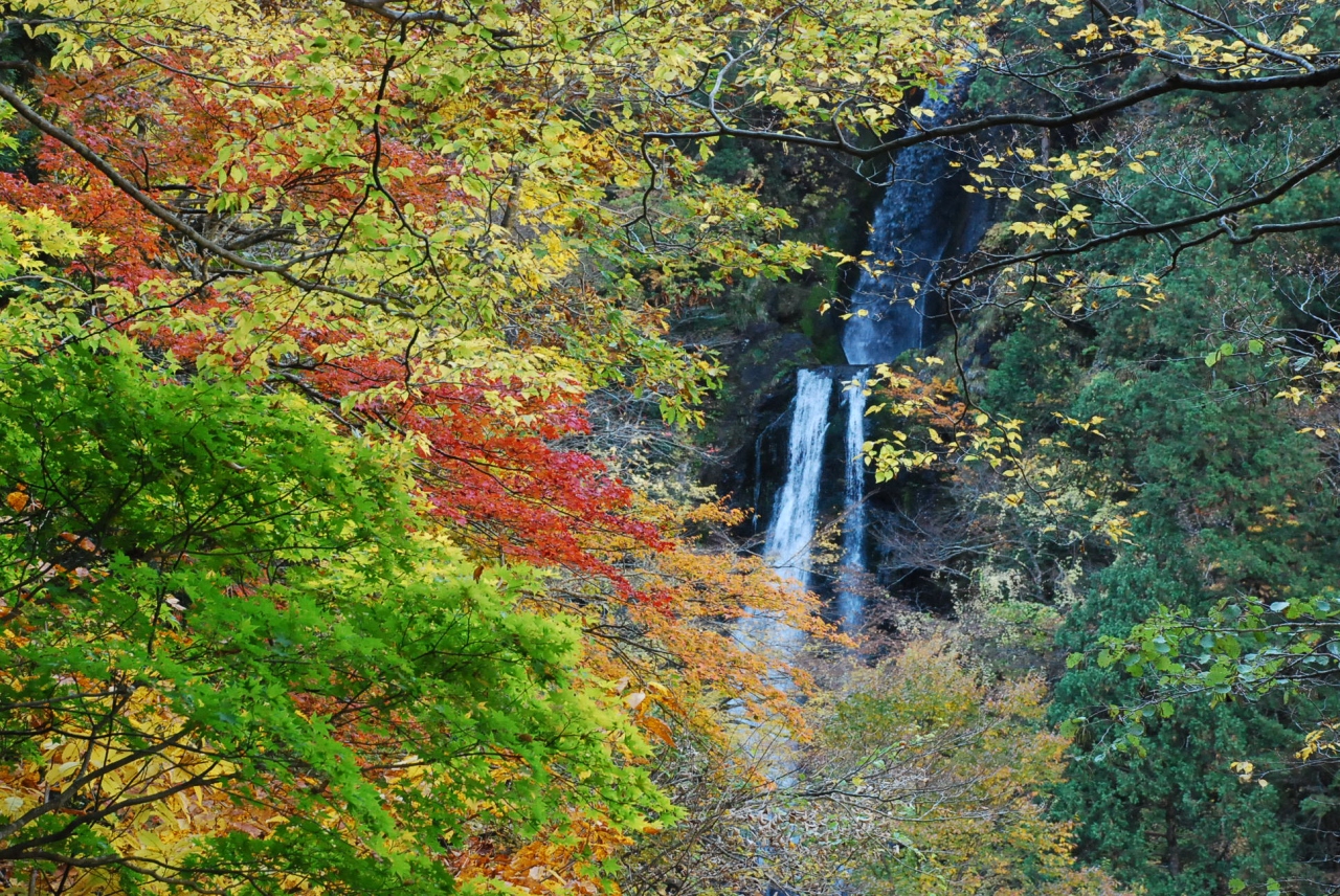 紅葉絶頂期 抱返り渓谷 秋田 角館 秋田県 の旅行記 ブログ By かっちんさん フォートラベル