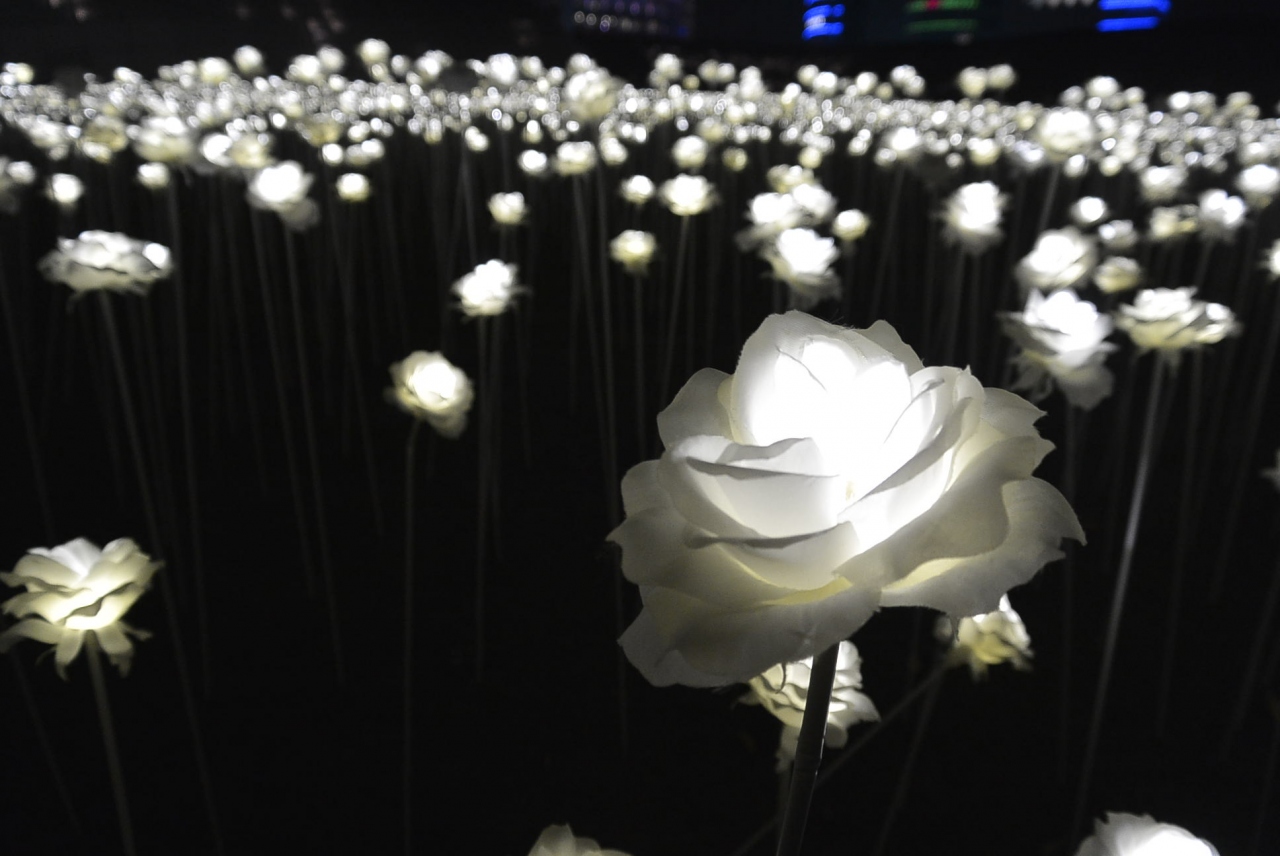 初ソウル いきたいとこ全部旅1 羽田から金浦空港 明洞 バラの花束イルミネーション ソウル 韓国 の旅行記 ブログ By Moeさん フォートラベル 初ソウル いきたいとこ全部旅1 羽田から金浦空港 明洞 バラの花束イルミネーション ソウル 韓国 の旅行記 ブログ By Moeさん フォートラベル