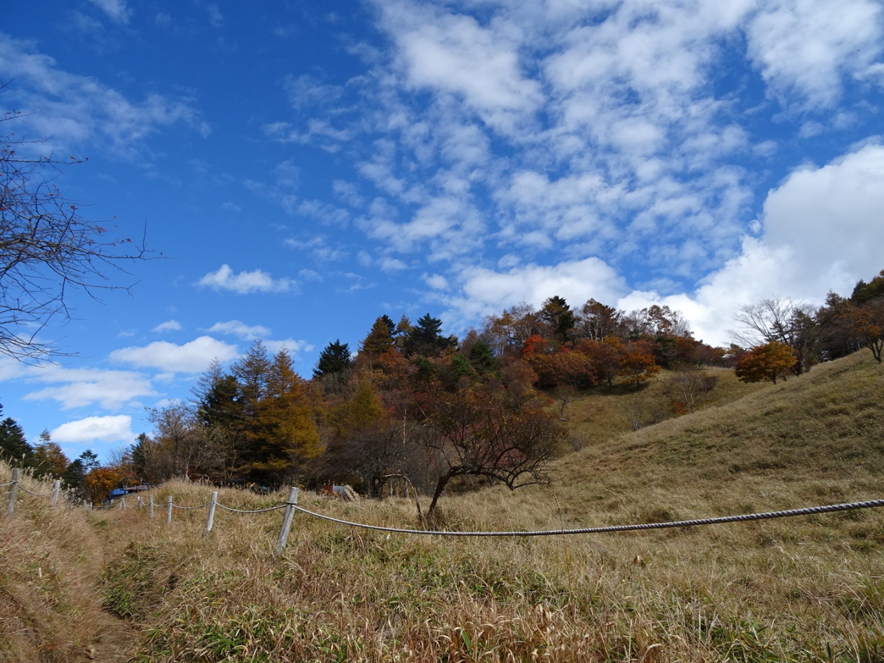 紅葉の大菩薩峠トレッキング 勝沼 塩山 山梨県 の旅行記 ブログ By M Aさん フォートラベル 紅葉の大菩薩峠トレッキング 勝沼 塩山 山梨県 の旅行記 ブログ By M Aさん フォートラベル