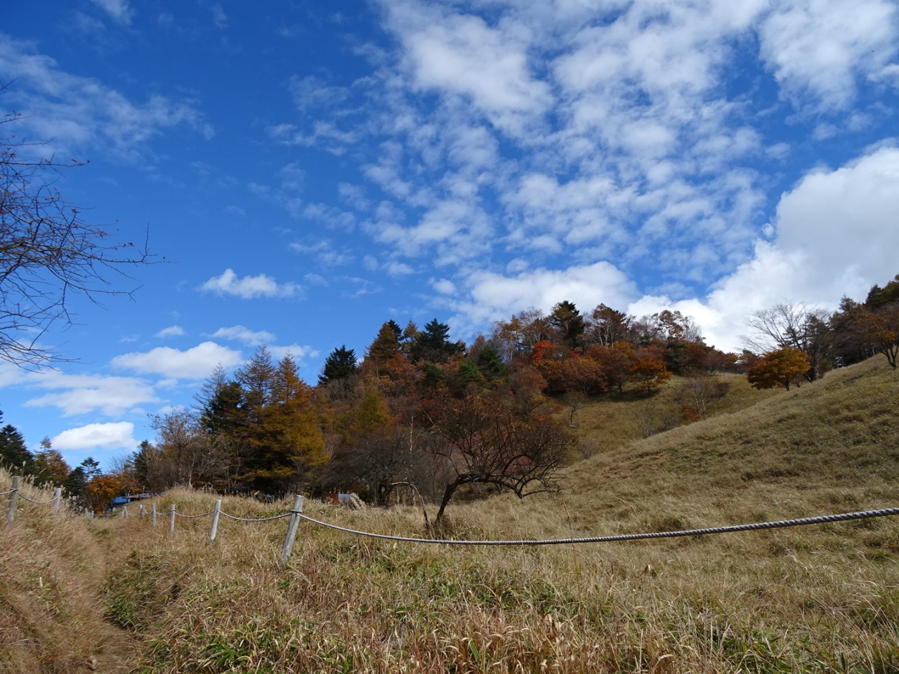 紅葉の大菩薩峠トレッキング 勝沼 塩山 山梨県 の旅行記 ブログ By M Aさん フォートラベル