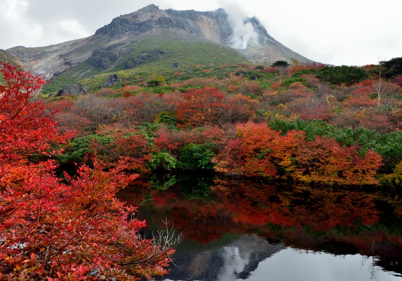 14年紅葉シリーズ 5 那須茶臼岳の紅葉撮影会 那須 栃木県 の旅行記 ブログ By 玄白さん フォートラベル 14年紅葉シリーズ 5 那須茶臼岳の紅葉撮影会 那須 栃木県 の旅行記 ブログ By 玄白さん フォートラベル