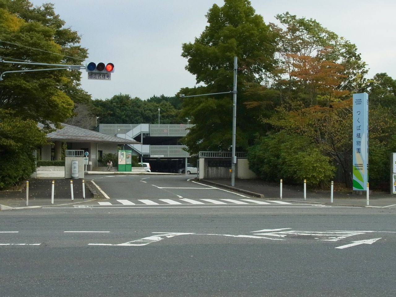 つくば散策と筑波実験植物園 つくば 茨城県 の旅行記 ブログ By オータムリーフさん フォートラベル