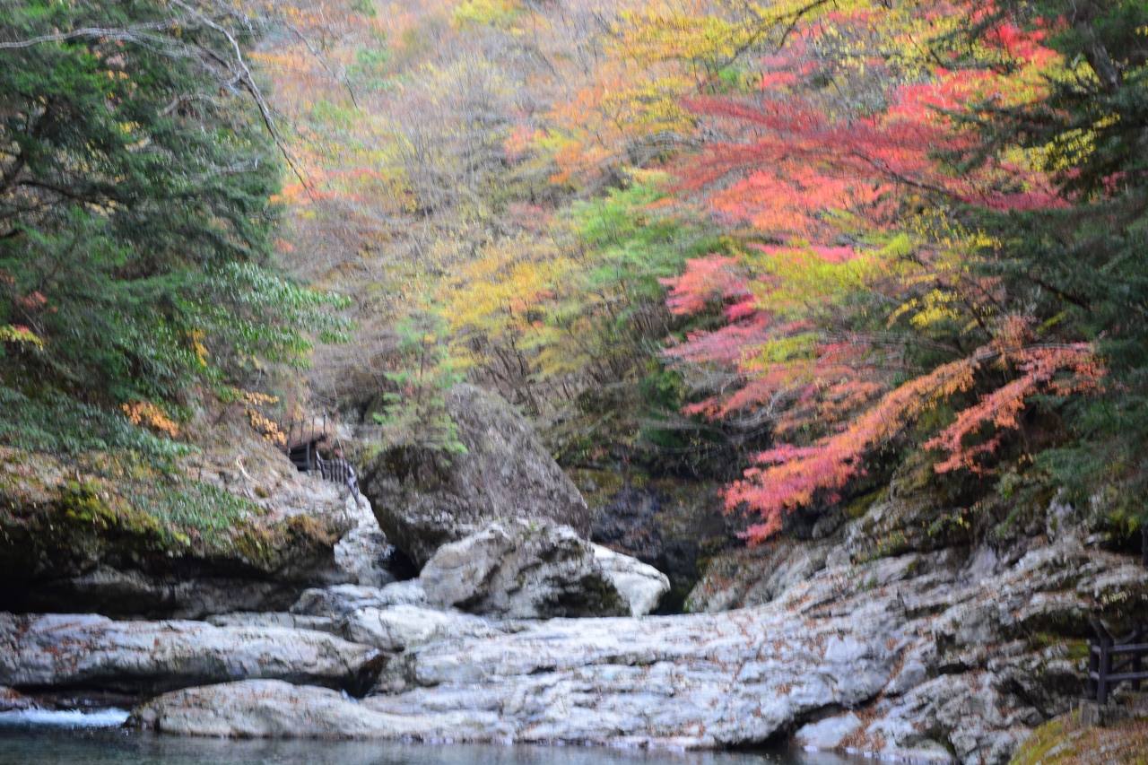 夫婦でランチ いん 御手洗渓谷 そして 神社 洞川温泉 大峰山 天川 奈良県 の旅行記 ブログ By とし坊さん フォートラベル