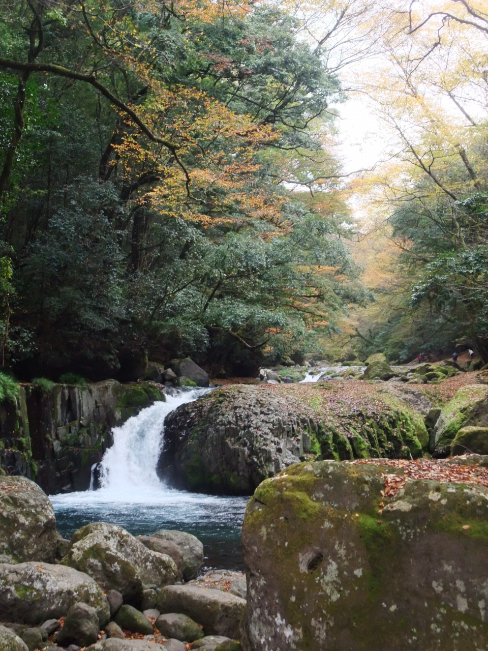 菊池渓谷 菊池 合志 熊本県 の旅行記 ブログ By ナオさん フォートラベル 菊池渓谷 菊池 合志 熊本県 の旅行記 ブログ By ナオさん フォートラベル
